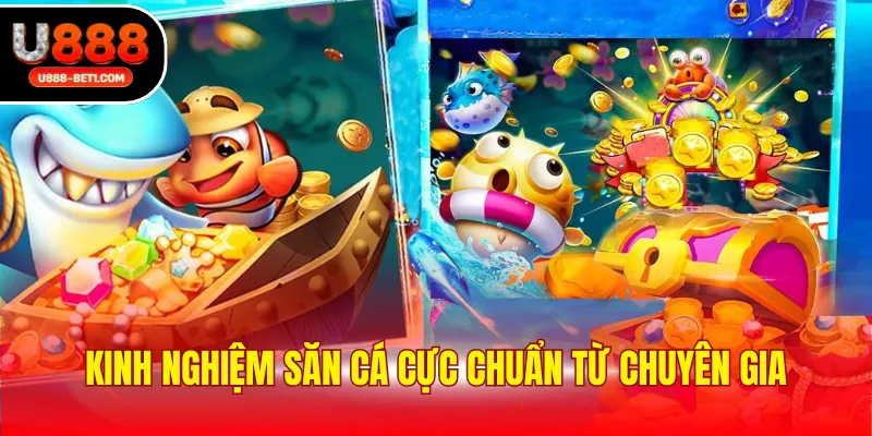 Kinh nghiệm săn cá cực chuẩn từ chuyên gia